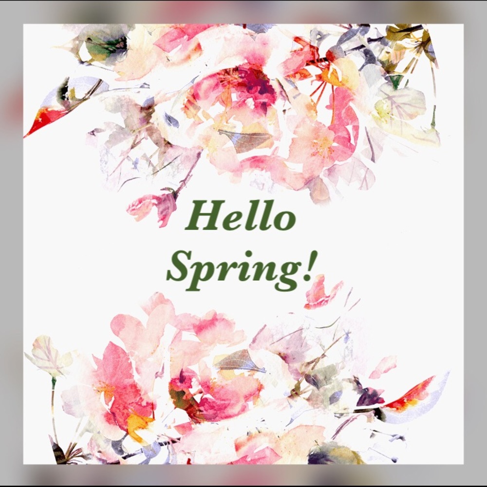 🌸 Welcome to my closet! 🌸